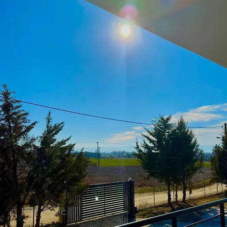 公寓 Athina 2 塞雷